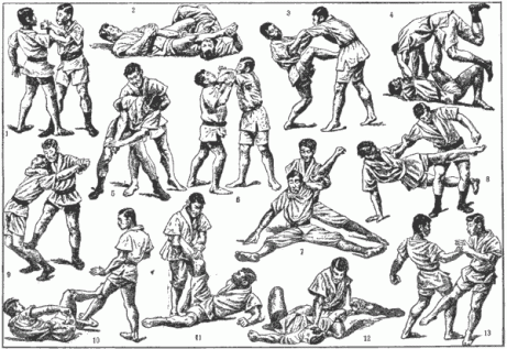 The New Blue Belt Curriculum????